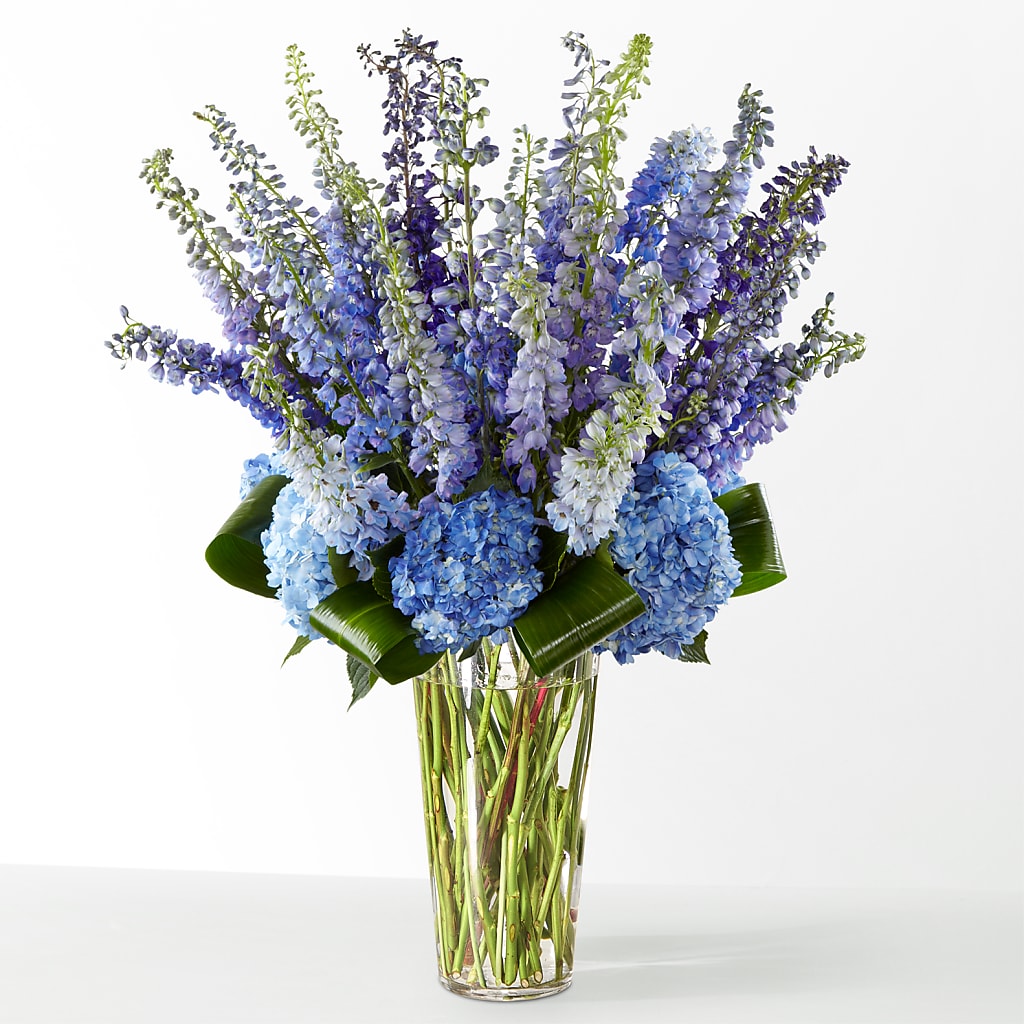 The Editorial –  Deux Gars Des Fleurs, Sorel PQ