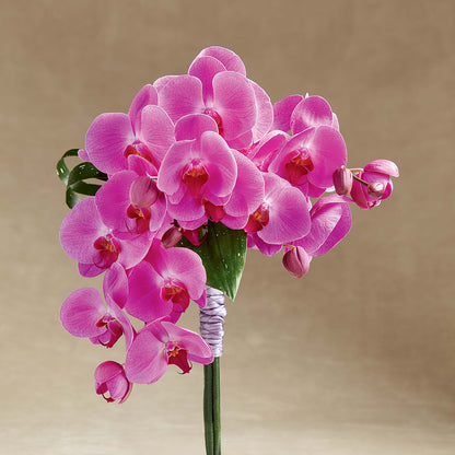 Glorious Bouquet –  Deux Gars Des Fleurs, Sorel PQ