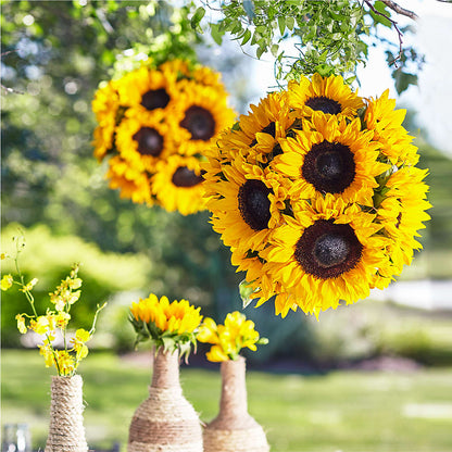 Sublime Garden Hanging Arrangement –  Deux Gars Des Fleurs, Sorel PQ