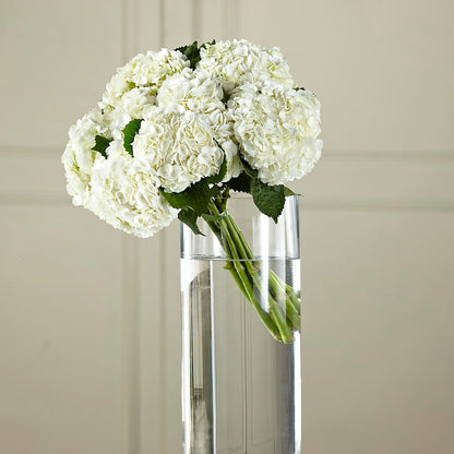 White Hydrangea Hand-Tied Bouquet –  Deux Gars Des Fleurs, Sorel PQ