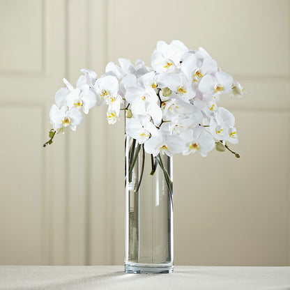 White Phalaenopsis Bouquet –  Deux Gars Des Fleurs, Sorel PQ