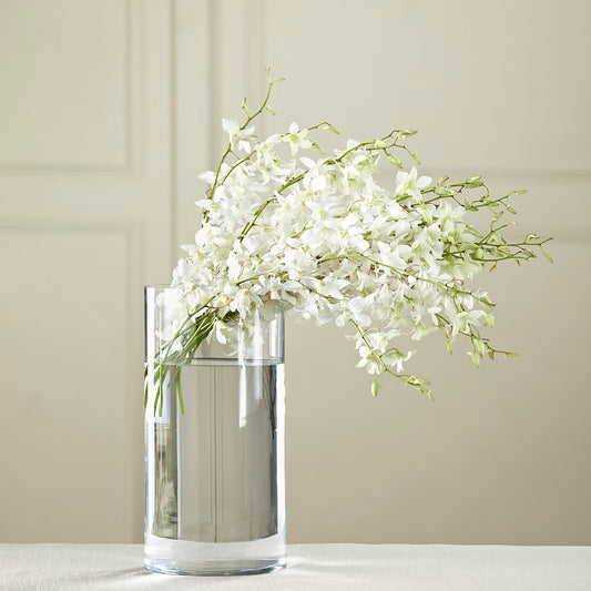 Bouquet de dendrobium blanc